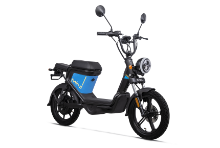 EZI MINI MS