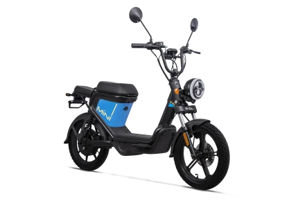 EZI MINI MS