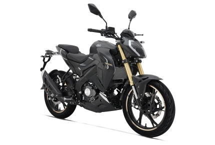 RKF 125 CBS